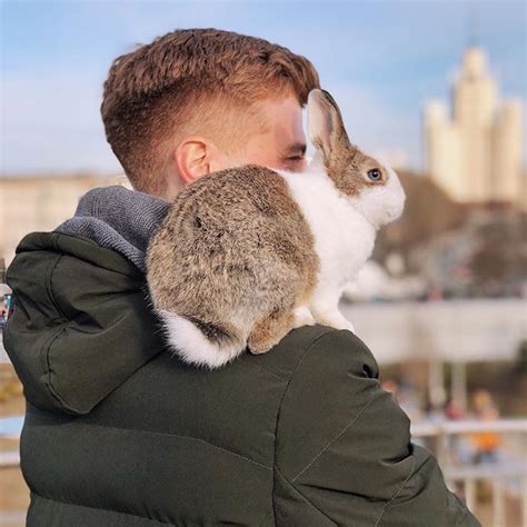 ПУШИСТЫЕ Fluffy Rabbittravel Instagram Photos And Videos Cute