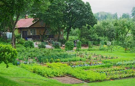 Why You Should Turn Your Yard Into A Mini Farm