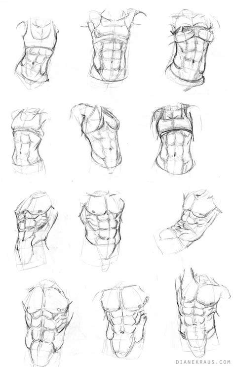 Torso Studies By Banjodi Anatomy Sketches Anime Drawings Sketches
