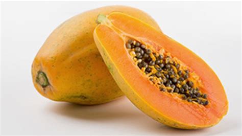 Possible Salmonella Outbreak Linked To Papayas Kills Two People