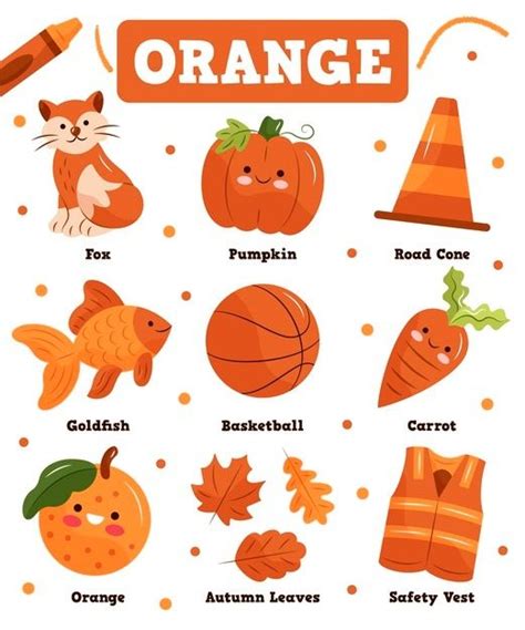 Free Vector Color Orange And Vocabulary Set In English Preschool