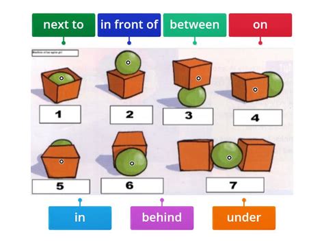 Prepositions Of Place Starter Diagrama Etiquetado The Best Porn Website