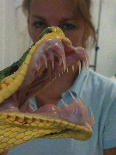 22 Images That Will Make You Say Wtf Wtf Gallery Ebaums World