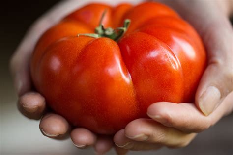 Mortgage Lifter Tomato Seeds Heirloom Hometown Seeds