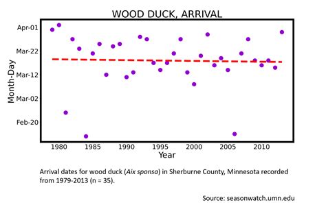 Wood Duck Season Watch