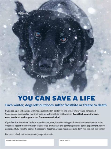 You Can Save A Life Humanepro By The Humane Society Of The United States