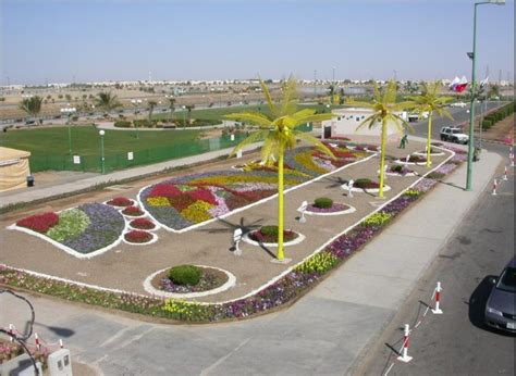 مدارس ينبع , ينبع , ينابع ,اخبار , دليل , توظيف برمجة وتصميم : ينبع .. لؤلؤة البحر الاحمر - المرسال