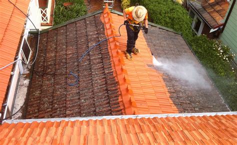 How To Remove Algae From Roof Shingles Artofit