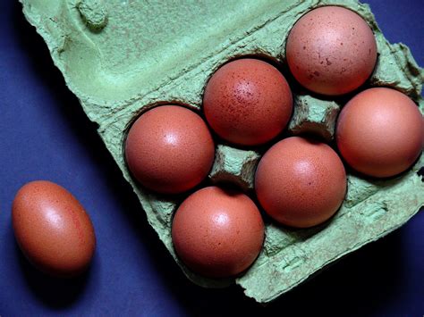무료 이미지 식품 영양물 섭취 천연물 달걀 카톤 닭고기 달걀 계란 상자 갈색 달걀 계란 포장 10 팩 달걀