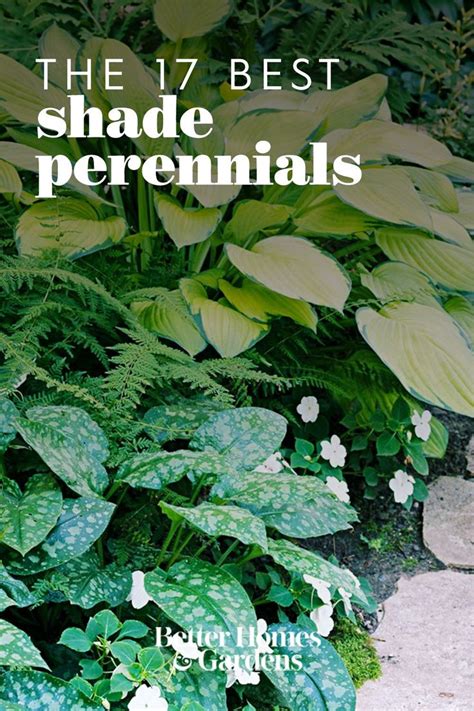 The 17 Best Shade Perennials For Gardens That Overflow With Color