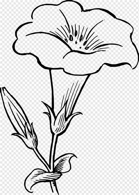 Total Imagen Dibujos De Flores Blanco Y Negro Viaterra Mx Hot Sex Picture