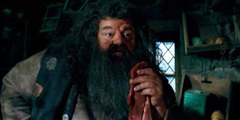 Harry Potter 10 Biggest Ways Hagrid Changed From Philosophers Stone To