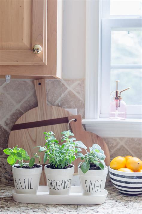 Easy Diy Kitchen Herb Garden The Home I Create