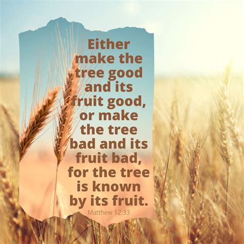 Discernment Wheat Vs Tares The Way Of The Word