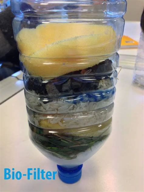 Homemade Water Filtration Science Project Homemade Ftempo