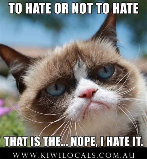 30 min of bongo cat memes compilation enjoy! CLEAN GRUMPY CAT MEMES image memes at relatably.com