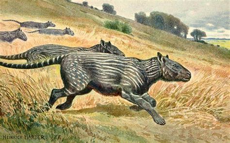The Giant Mammals Of The Cenozoic Era Prehistoric Animals