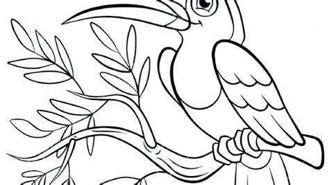 Free printable toucan coloring pages. Toucan Bird Coloring Pages at GetDrawings | Free download