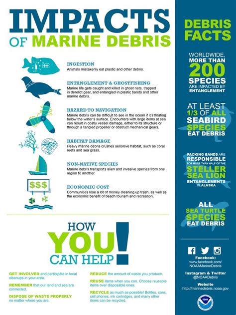 Marine Debris Ecogreenlove Marine Debris Infographic Plastic