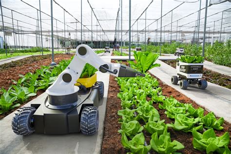 Agricultural Robots A Revolutionary Tool For Farmers Worldwide