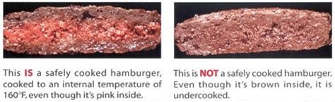 17.07.2019 · cook ground beef, pork, veal, and lamb to 160 °f. Ireland: minced beef and burgers should be thoroughly ...