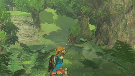 The Legend Of Zelda Breath Of The Wild Onrpg