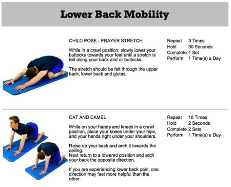 Stretches For Stiff Lower Back Off