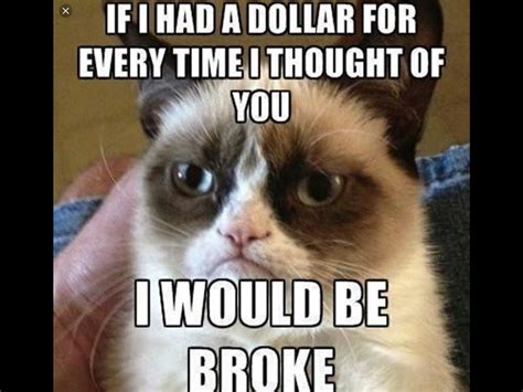 17 Funny Cat Memes Wallpaper Factory Memes