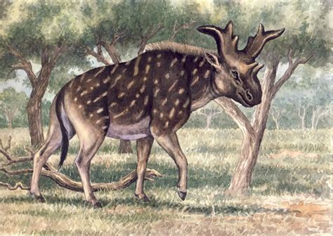 Art Illustration Prehistoric Mammals Sivatherium Is An Extinct