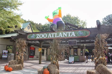 Tips For Visiting Zoo Atlanta This Is My South
