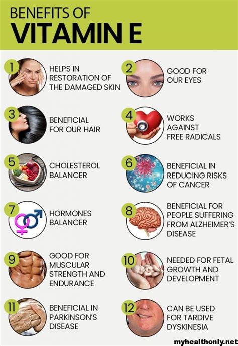 10 Useful Health Benefits Of Vitamin E You Must To Know My Health Only