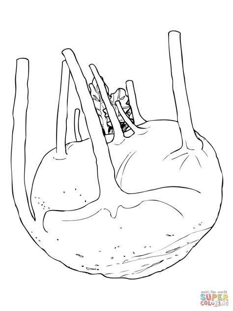 Root Vegetables Coloring Pages Coloring Pages