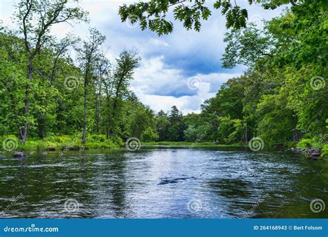 Shallow Spring River Flowing Into The Distance With Vibrant Green