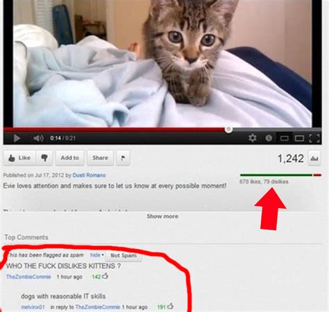 The 25 Funniest Youtube Comments Of The Year