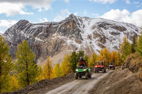 Golden Larches In Bc Super Natural Bc