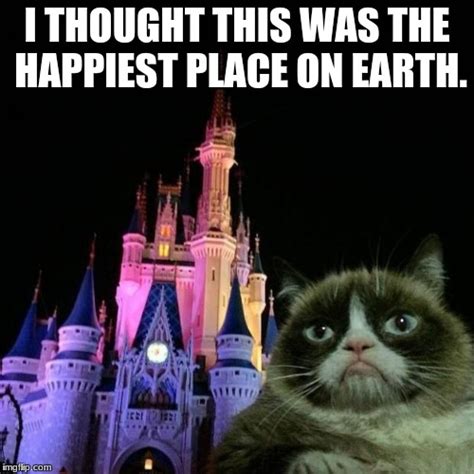 Grumpy Cat Disneyland Castle Imgflip