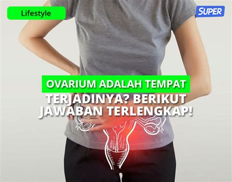 Ovarium Adalah Tempat Terjadinya Pembuahan Simak Fungsinya