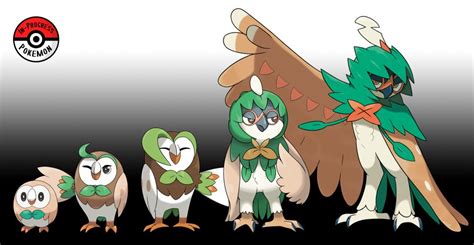 722 724 Rowlet Line By Inprogresspokemon Pokemon Pokemon Eevee