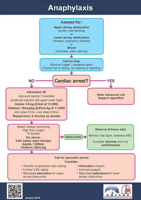 Anaphylaxis Flow Chart