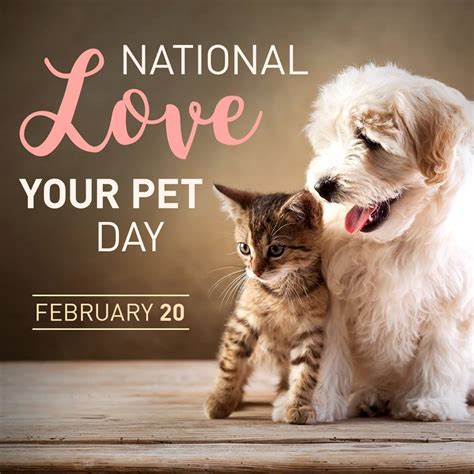 Share your love for your pets by sending our ecards to fellow pet. KGW-TV - Happy National Love Your Pet Day! Whether you ...