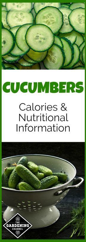 Learn More About The Health Benefits Of Cucumbers At Just 16 Calories