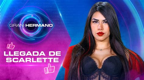 ¡causÓ Sorpresa 😮 Así Fue La Llegada De Scarlette Gran Hermano Chile Temp 01 Youtube