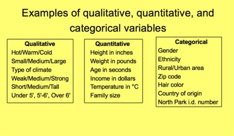 Chapter Displaying Data With Graphs Flashcards Quizlet