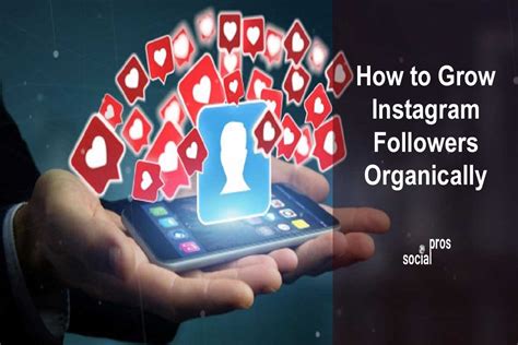 How To Grow Instagram Followers Organically Social Pros