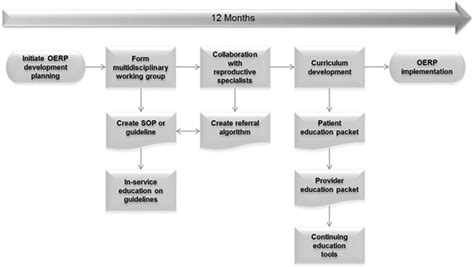 Flow Chart Depicting Strategy And Processes Of Oerp Implementation
