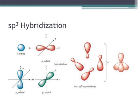 Ppt Hybridization Powerpoint Presentation Free Download Id2093658
