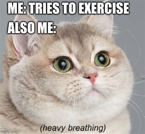 Exercising Makes Me Tired Imgflip