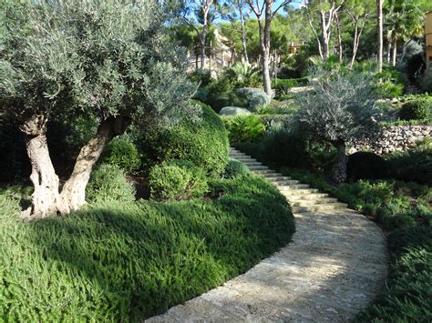 Vida Verde Mallorca Garten Design Mallorcavida Verde Mallorca