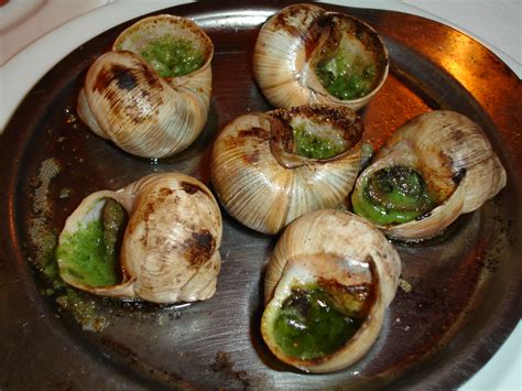 Filecooked Snails Wikipedia