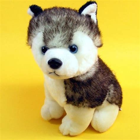 Plush puppies kennel & daycare center. Cute Husky Dog Plush Sled Dog Stuffed Animals Plush Toys | Flickr